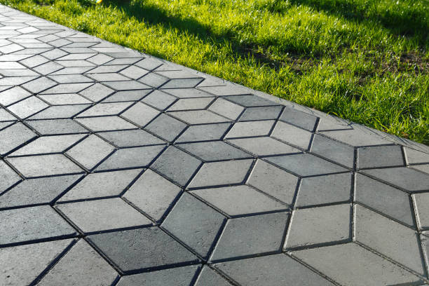 Best Driveway Paving Contractor  in Lake Waccamaw, NC