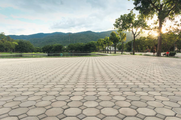 Best Residential Driveway Paver Services  in Lake Waccamaw, NC