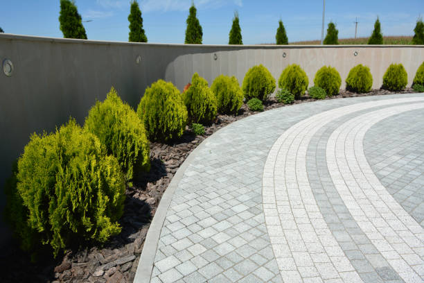 Reasons to Select Us for Your Driveway Paving Requirements in Lake Waccamaw, NC